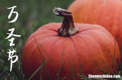 2023年今年万圣节是几月几号 2023年11月万圣节是黄道吉日吗